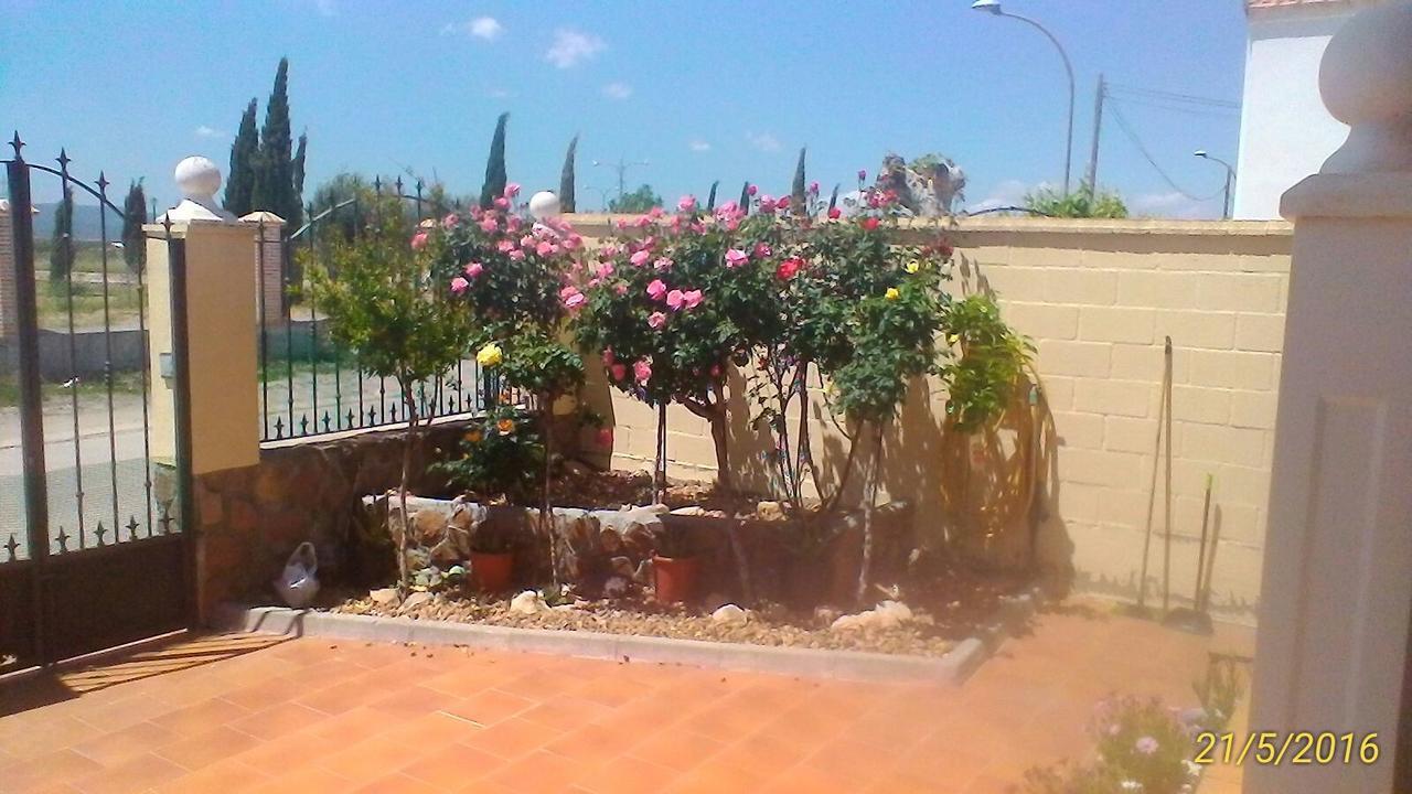La Rosaleda De Orgaz Pension Buitenkant foto